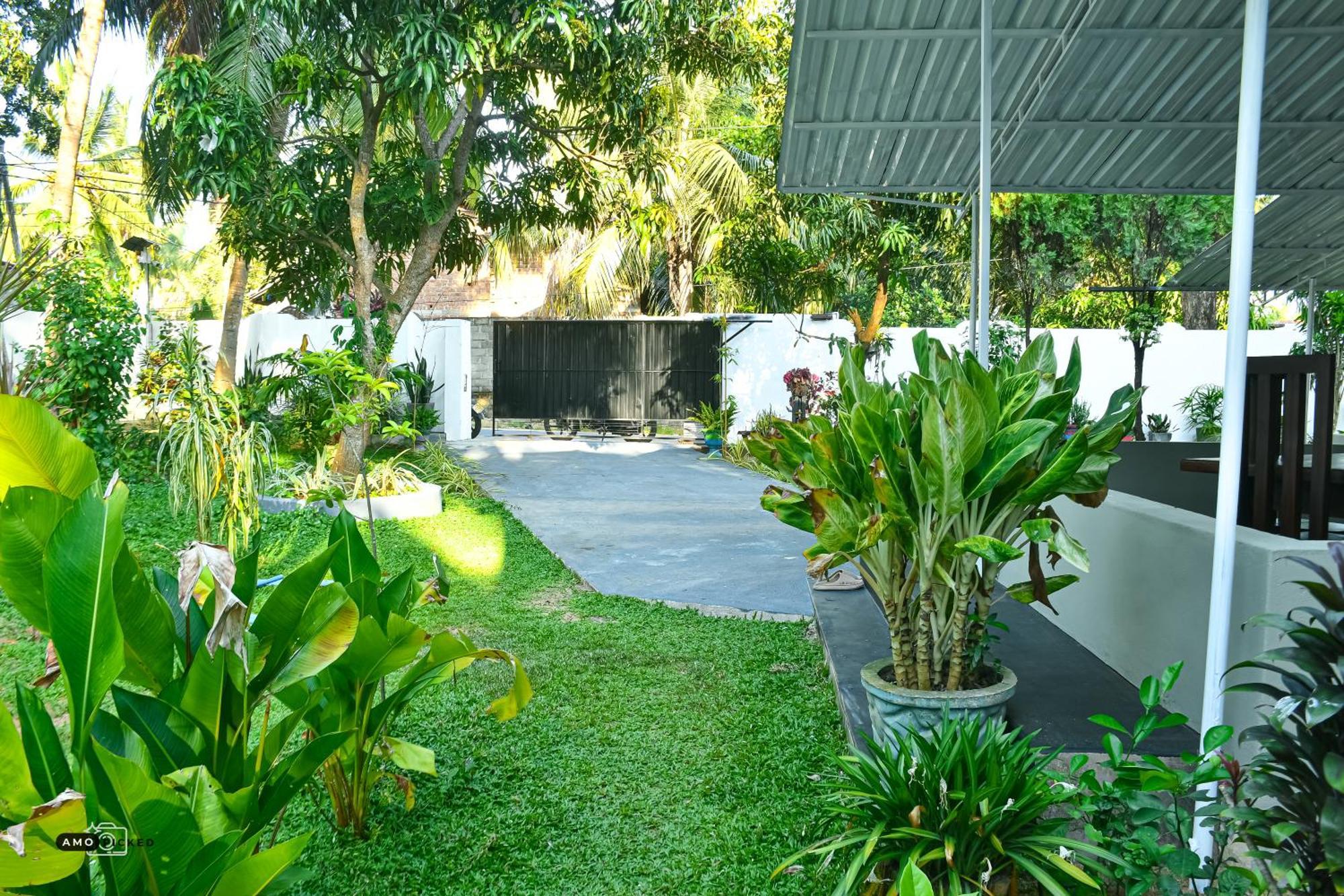 Coconut Villa Arugam Bay Eksteriør billede